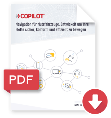 download-PDF-icon_DE